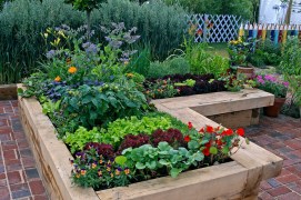 The Benefits of Building a Raised Garden Bed and How to Get Started