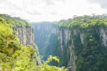 Top 5 Essential Tips for Exploring the Amazon: A Jungle Adventure Like No Other
