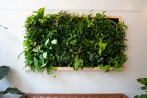 Transform Your Small Space: A Comprehensive Guide to Vertical Gardening